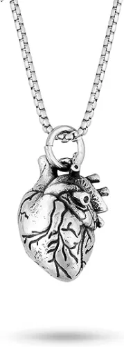 Sacina Stainless Steel Gothic Necklace for Women, Anatomical Heart, 22.8 inches for Halloween, Christmas, New Year