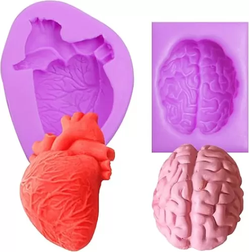 3D Anatomical Heart and Brain Silicone Molds for Halloween Crafts, Medical Themed Fondant, Resin Art, 2-Piece Set