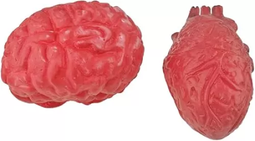Bloody Scary Fake Human Brain Horrible Heart Organ for Trick Toys Halloween Props Festival Decoration Haunted House