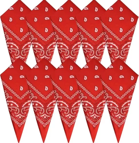 FEPITO 10Pcs Paisley Bandanas Assorted Cowboy Bandanas Novelty Cotton Bandanas for Men Womens (Red)