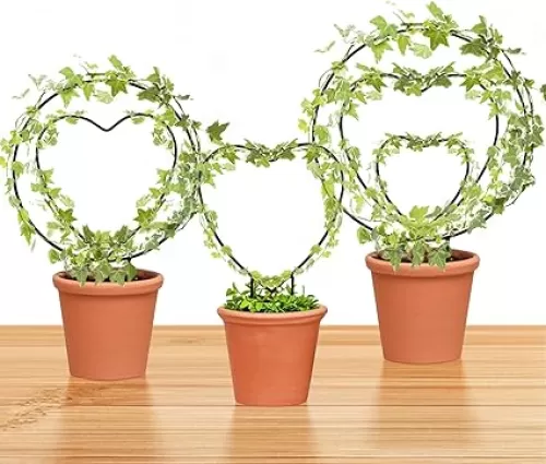 Hoya Trellis 3 Size Indoor Plants Flower Support Stakes Round or Heart Metal Trellis Set Garden Tool Accessories for Small Potted Vine Climbing Houseplants (BlackCH)