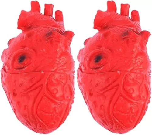 PRETYZOOM 2pcs Resin Heart Prop, Squeezable Heart Model, Simulation Bloody Organ Human Body Parts for Halloween Party Supplies